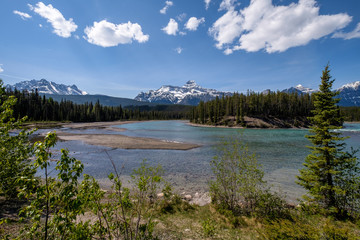 Along Icefields Parkway