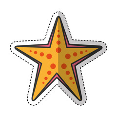 starfish animal isolated icon vector illustration design