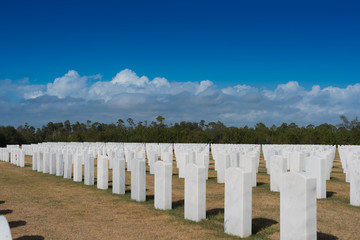 Memorial Day Veterans Cemetery