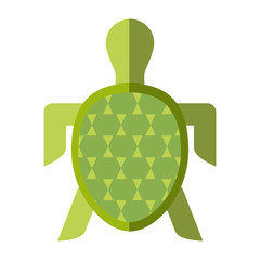 Turtle Graphic photos, royalty-free images, graphics, vectors & videos ...