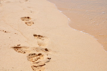 Footprints in the sand on the beach