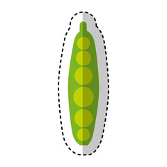 fresh vegetable isolated icon vector illustration design