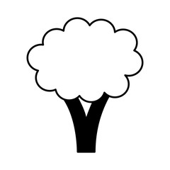 fresh vegetable isolated icon vector illustration design