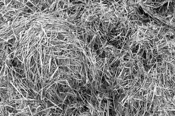 black and white straw pile.