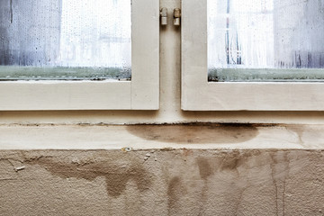 Moisture and mold -Problems in a house