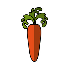 fresh vegetable isolated icon vector illustration design