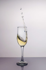 Splash in a glass of champagne