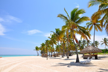 Fototapeta na wymiar Palm trees, white sand and clear water on the tropical beach in Dominican Republic