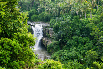 Naklejka premium Waterfall in the jungle
