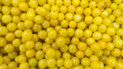 fresh yellow tomatoes
