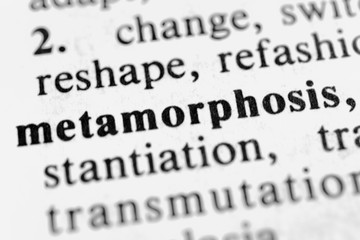 Metamorphosis