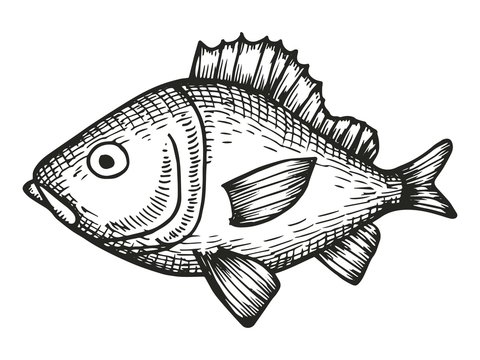 neighbourhood clipart fish