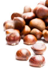 sweet  chestnut isolated on white background