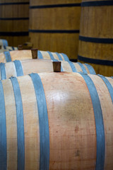 Big and small wine casks.