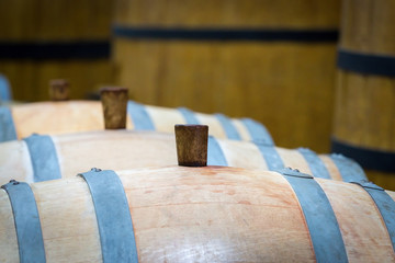 Big and small wine casks.