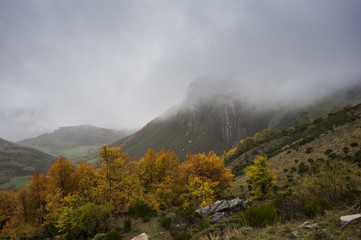 Fototapeta premium Otoño en Somiedo, Asturias, España