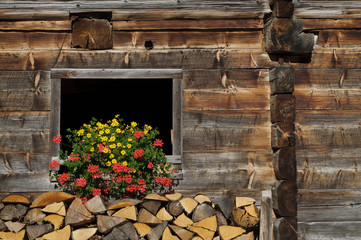 Traditional wooden barn decorated with flowers and stacked firewood in front of it, Dienten am Hochkonig, Salzburg, Austria