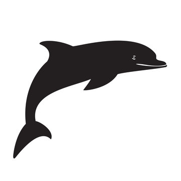 silhouette dolphin on the white background black one fin