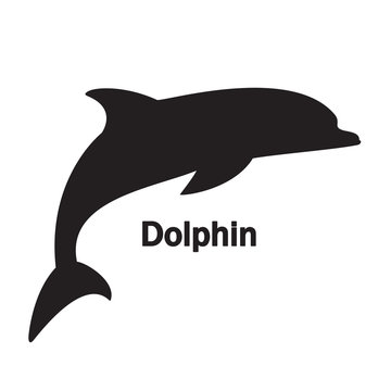 silhouette dolphin on the white background black text empty one