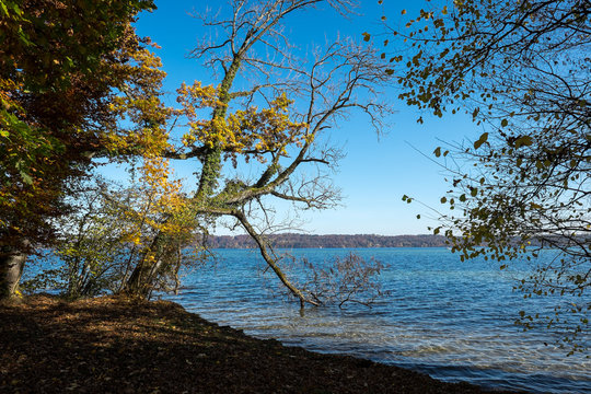 Herbststimmung 2 am Stranberger See 