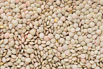Lentils pulse legumes vegetables vegetarian food background.