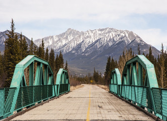 Bridge To The Mountains