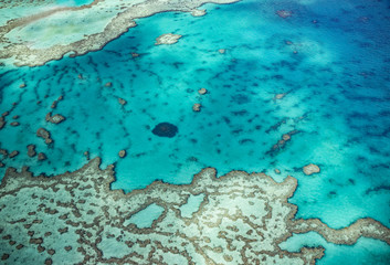 Grande barrière de corail