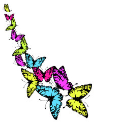 Fototapeta na wymiar beautiful butterfly, on a white
