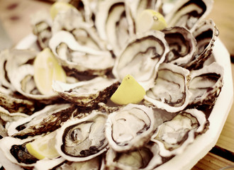 oysters on plate top view