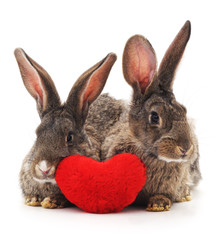 Fototapeta na wymiar Two rabbits and red heart.