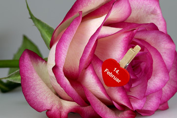 14. Februar Valentinstag
