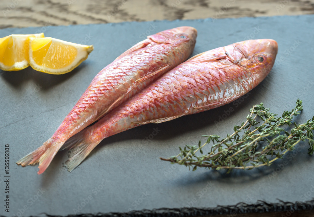 Wall mural Raw red mullet with ingredients