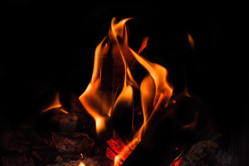 Fire flames on a black background