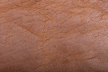 Brown Leather texture