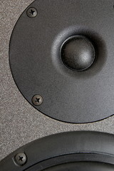 Tweeter of a high end hi-fi speaker cabinet