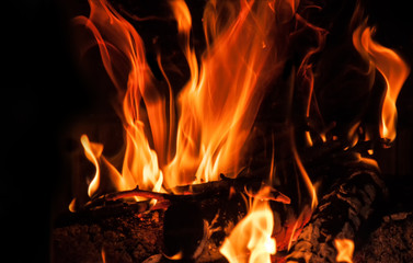 Fire flames on a black background