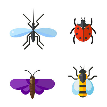 Insect icon flat set isolated on white background
