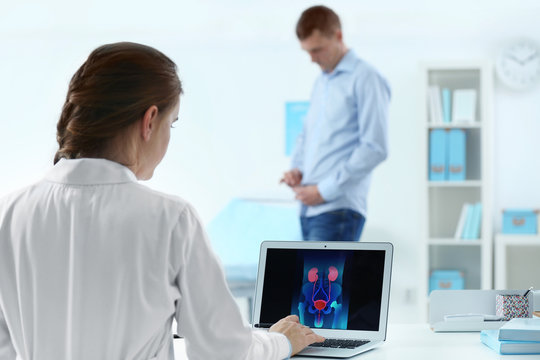 Medical concept. Doctor looking at laptop screen with urology system image