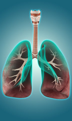 Breathing apparatus 3d reconstruction