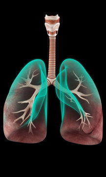 Breathing apparatus 3d reconstruction