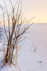 Fototapeta na wymiar golden sunset over snowy field