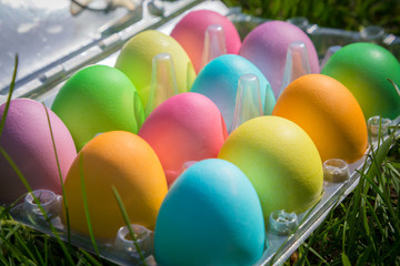 colorful easter eggs in disposable plastic tray on green grass