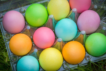 Fototapeta na wymiar colorful easter eggs in old plastic tray on green grass