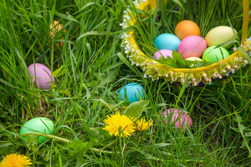 colorful easter eggs in basket on grass with dandelions