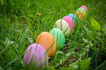 background with row of easter eggs on meadow