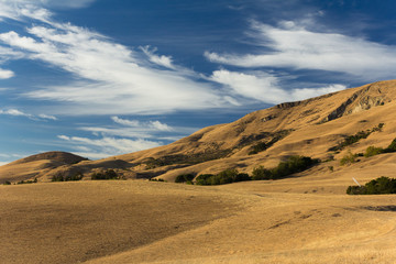 Fototapeta na wymiar Late afternoon in the east bay hills of Fremont, California