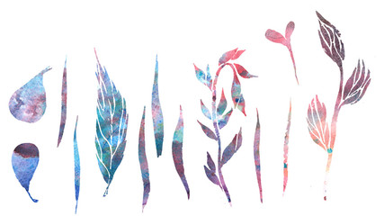 set of plant elements painted watercolor liar - leaf, petal , pi