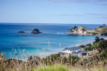 Coromandel Peninsula, North Island, New Zealand