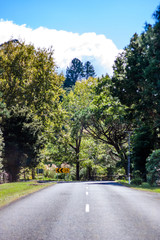 Road on Coromandel , North Island, New Zealand.