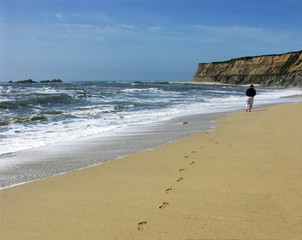 Person walking on a beach